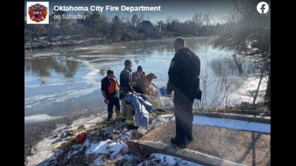 A dog was rescued by officials with a paddleboat after falling through an icy lake, Oklahoma fire officials said.