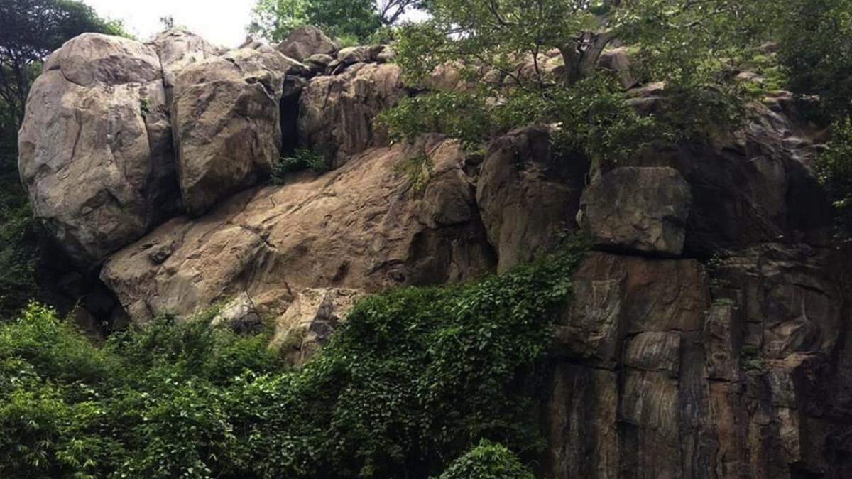 Researchers identified a new species of scorpion within the crevices of boulders in India, according to a new study.
