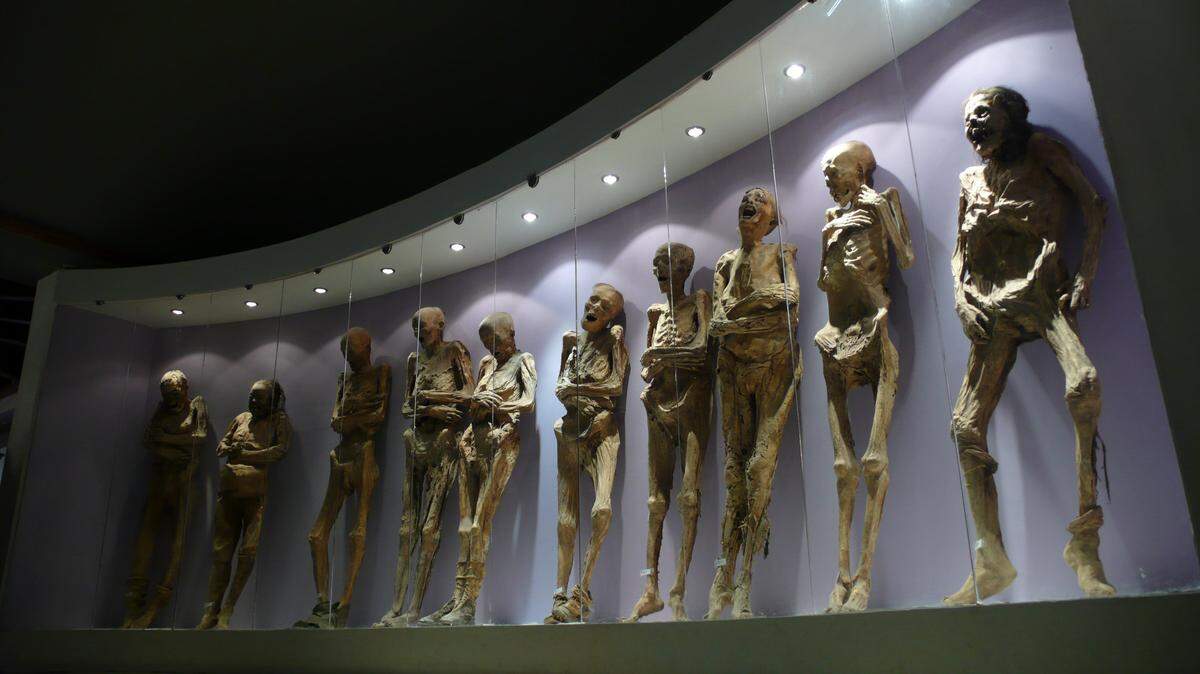Experts expressed concerns about biohazard exposure after seeing possible signs of live in a traveling exhibit of The Mummies of Guanajuato.