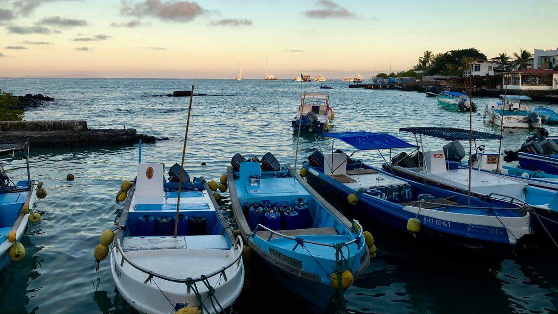 In the Galápagos Islands off the coast of Ecuador, a small creature was missing for 190 years until its rediscovery.