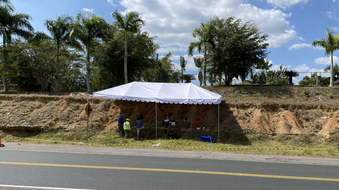 The fossils were found along a road in the Dominican Republic.