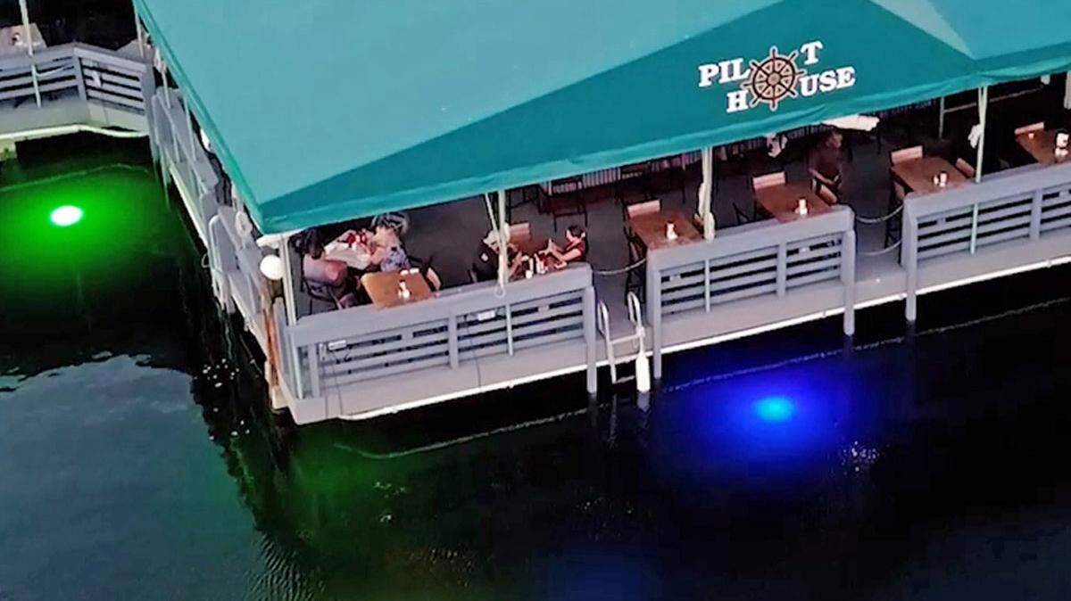 An image from the website of Pilot House Restaurant & Marina at 13 Seagate Boulevard in Key Largo.
