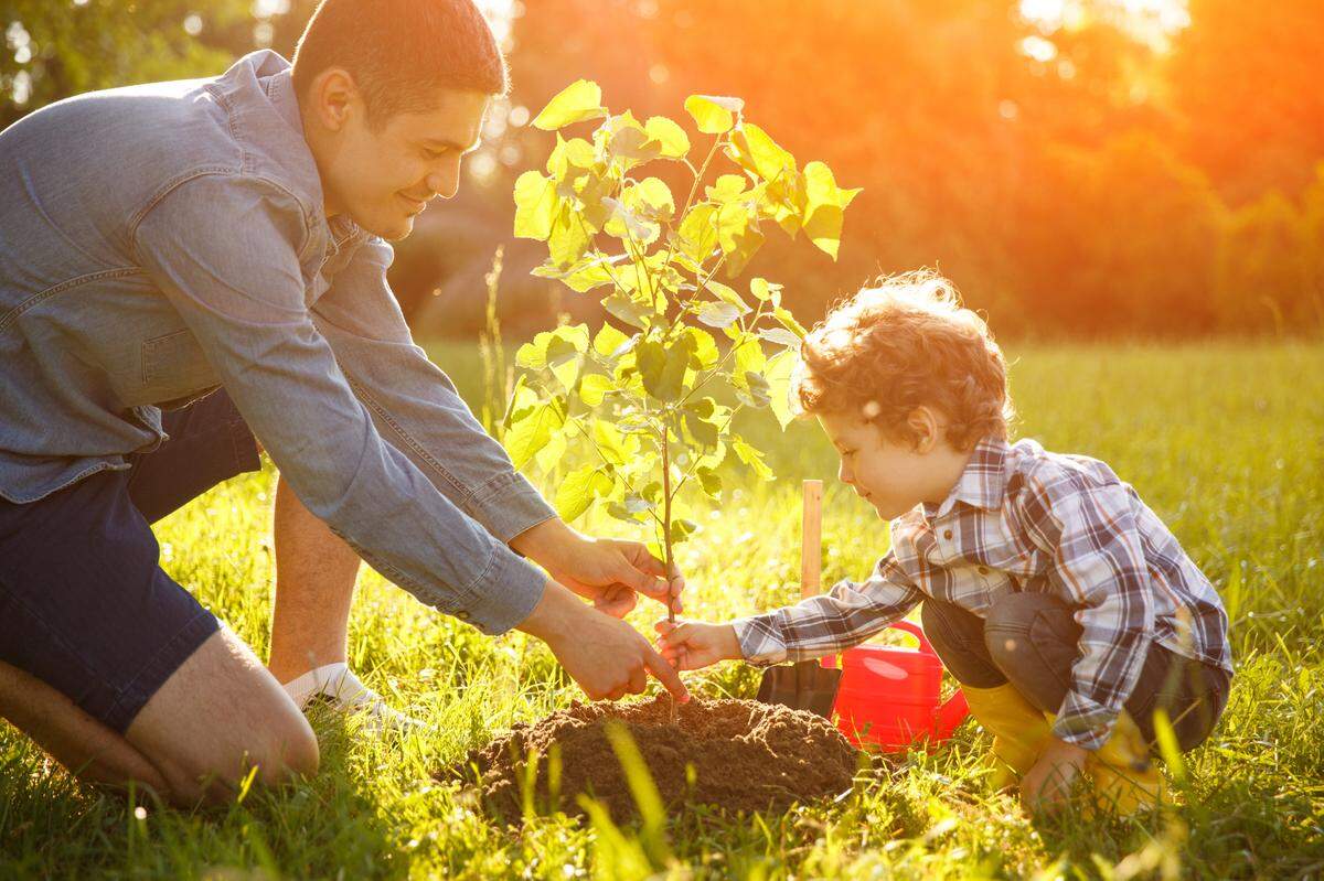 father and child planting a tree