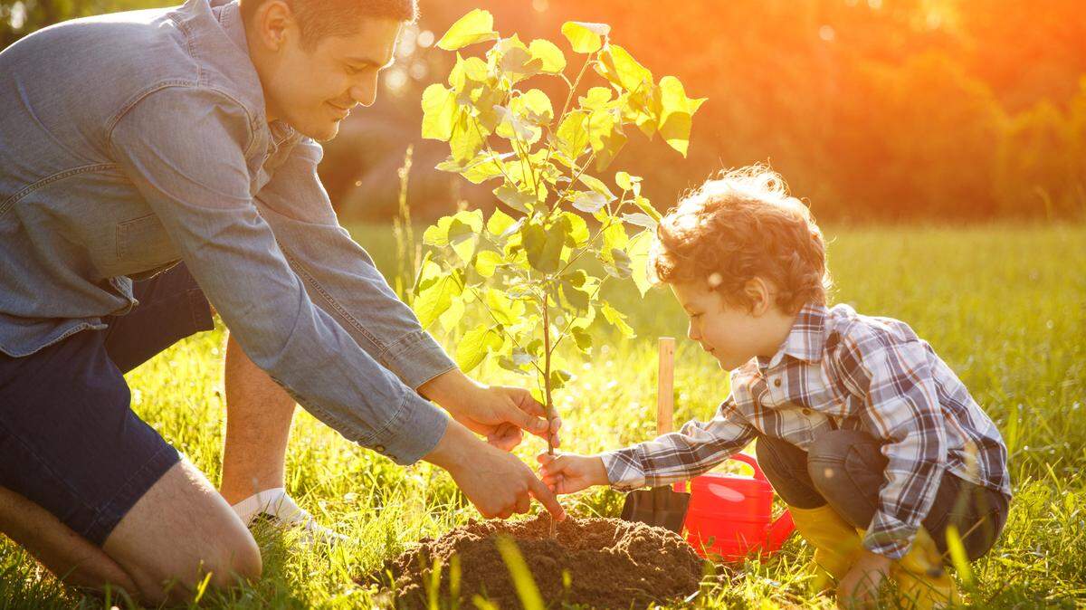 father and child planting a tree