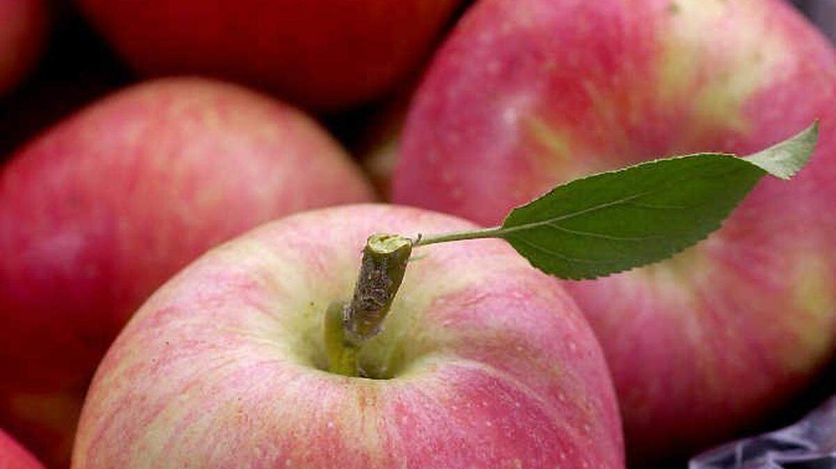 A six-week study of 40 six overweight/obese individuals found that eating three apples a day significantly lowered their inflammation levels, a key marker for cardiovascular disease. 