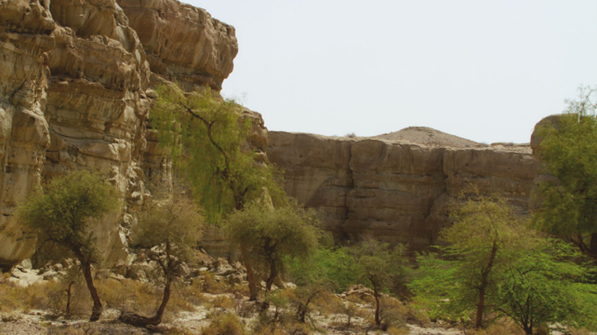 southern iran cliff canyon bandar-e jask