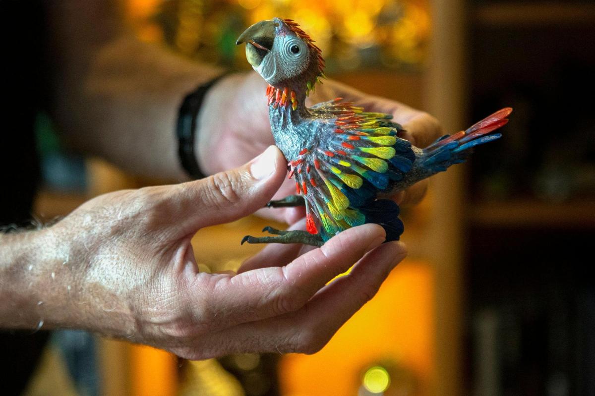 Zoo Miami’s Ron Magill, holds a nestling scarlet macaw skillfully carved out of tagua nuts by an indigenous person from the Wounaan tribe in the tropical forests of Panama, now on display at his Kendall home .