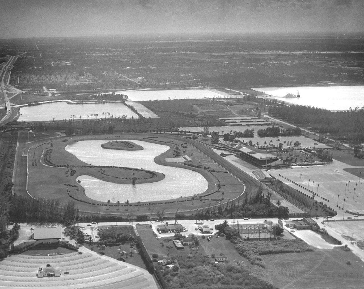 Tropical Park and surroundings in 1975.