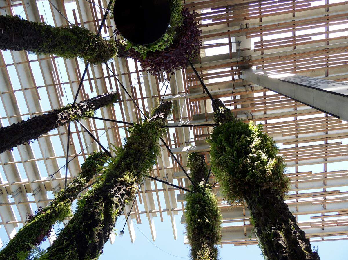The hanging gardens on the Biscayne Bay waterfront at Pérez Art Museum Miami and Verde restaurant are way cool. They will get sprucing up during a maintenance week on Aug. 19-25, 2019.