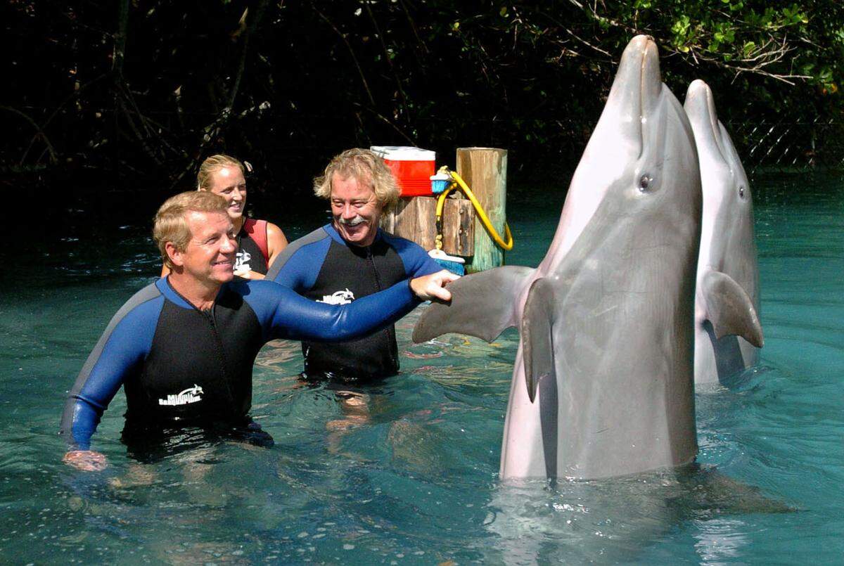 Former “Flipper” television series stars Tom Norden, left, who starred as Bud Ricks and Luke Halpin, right, who starred as Sandy Ricks, greet a pair of dolphins in the Flipper Lagoon at the Miami Seaquarium with the help of trainer Meggan Di Casolo, Friday, June 11, 2004. Halpin and Norden returned to the Miami Seaquarium in Miami Friday to celebrate the 40th anniversary of their show, parts of which were filmed in the same pool.