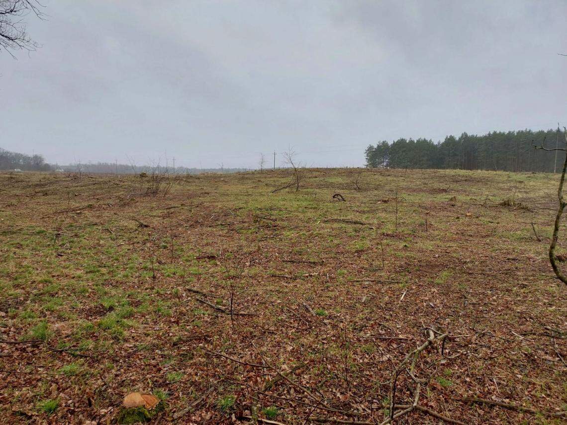 The unassuming field actually hid something much more ancient, researchers said.