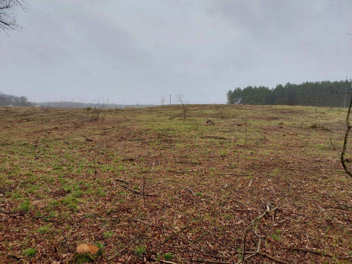 The unassuming field actually hid something much more ancient, researchers said.