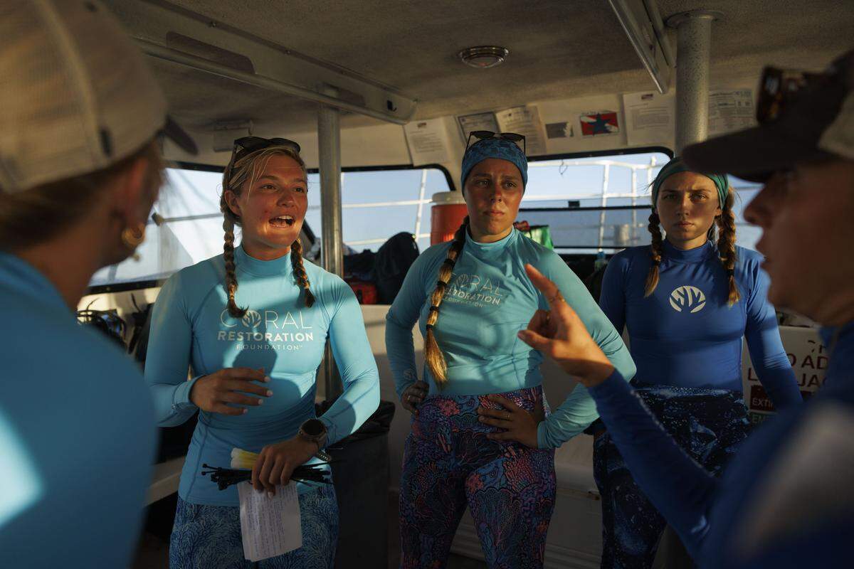Merrill Willis, science program intern who organized the data collection plan, left, briefs her team before the yearly coral spawning event on Tuesday, Aug. 12, 2025, at Spawning Alley, a nursery run by the Coral Restoration Foundation off of Key Largo, Fla.