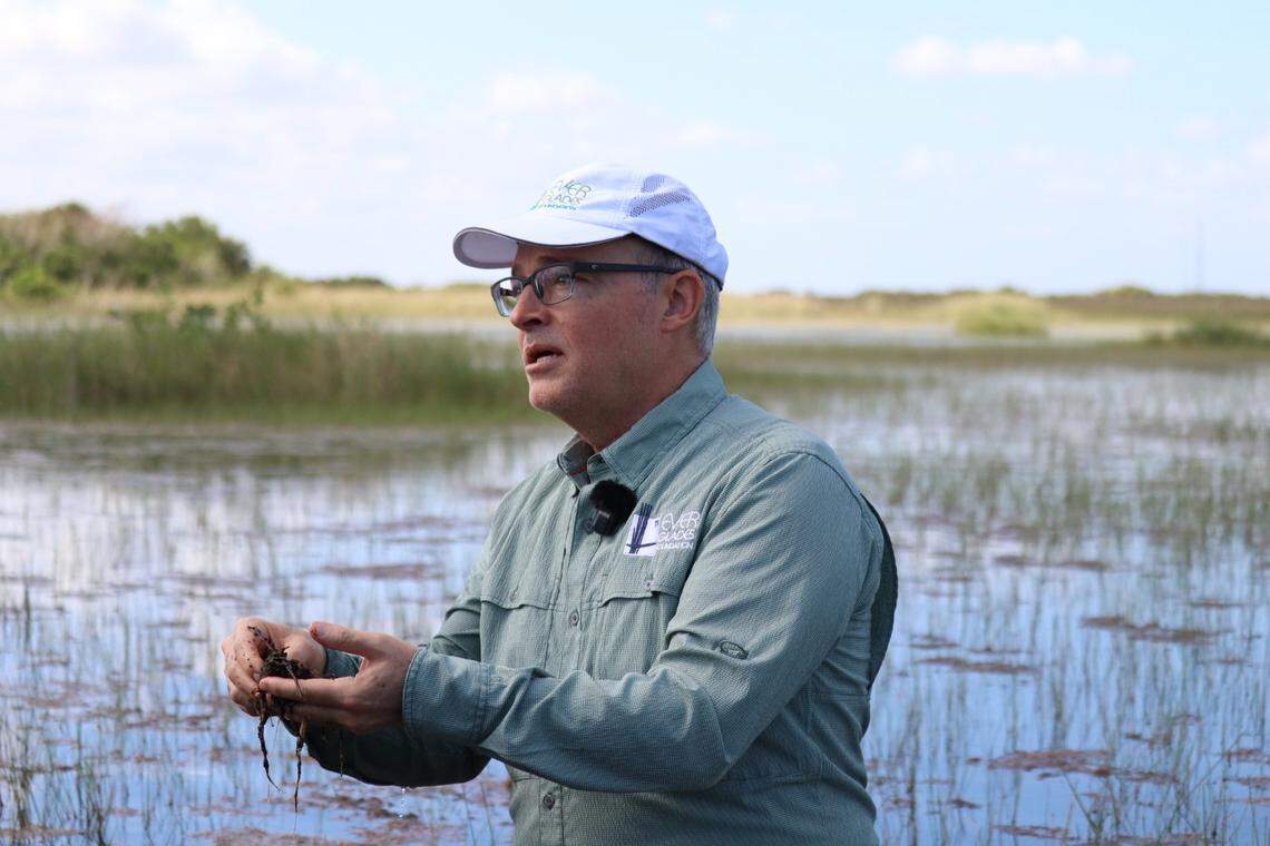 Steve Davis from the Everglades Foundation explains the difference between mineral and organic soils, and their functions within the Everglades system in the Florida Everglades on Oct. 17th, 2025.