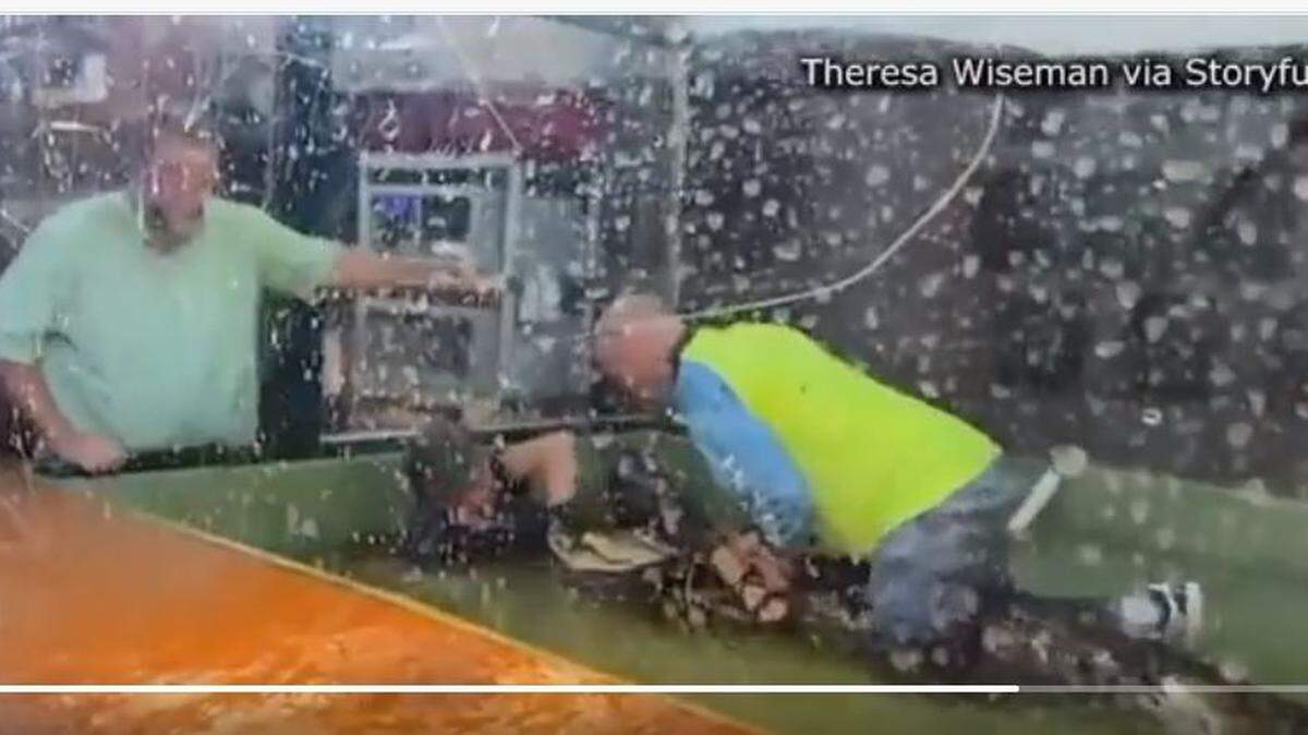 Bystander Donnie Wiseman jumps into an alligator enclosure at Scales and Tails Utah to help handler Lindsay Bull/Storyful screenshot