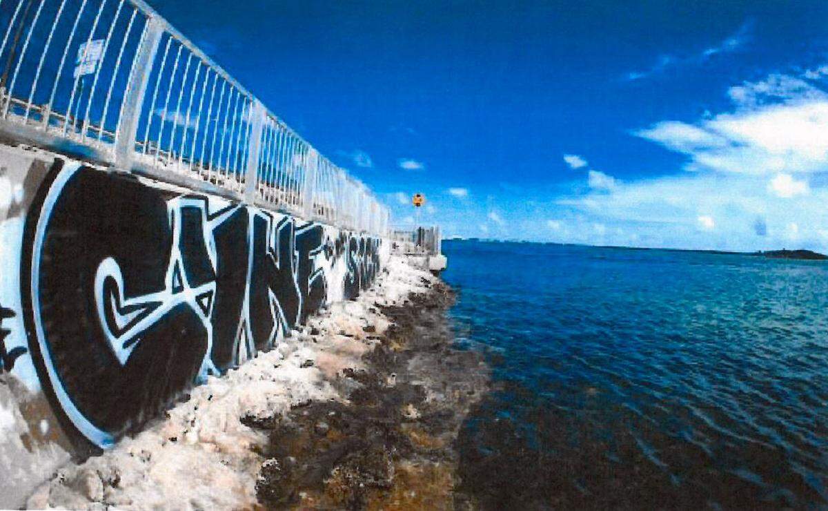 “Cyne” has been spray-painted on seawalls and bridges over the past few years in the Lower Florida Keys.