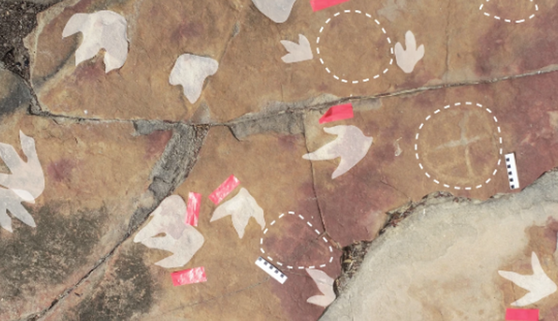 In between the dinosaur footprints were petroglyphs, or carvings made by ancient people, the study said.