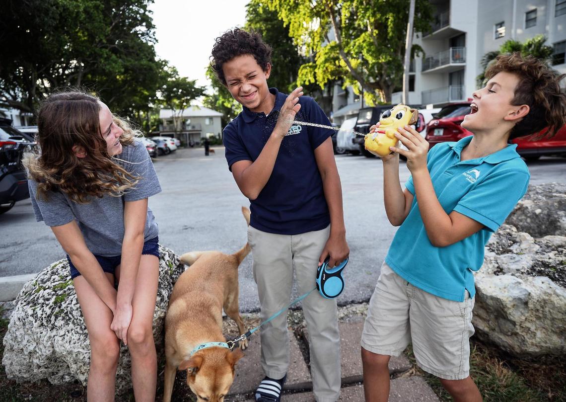 Miles Juste, 12, center, is soaked while playing the Peeing Dog game with Kaia Zaney, 14, left, and Ryan Zaney, 11, right, and ‘Enzo’ the dog. Location: Nirvana, 777 NE 62 St.