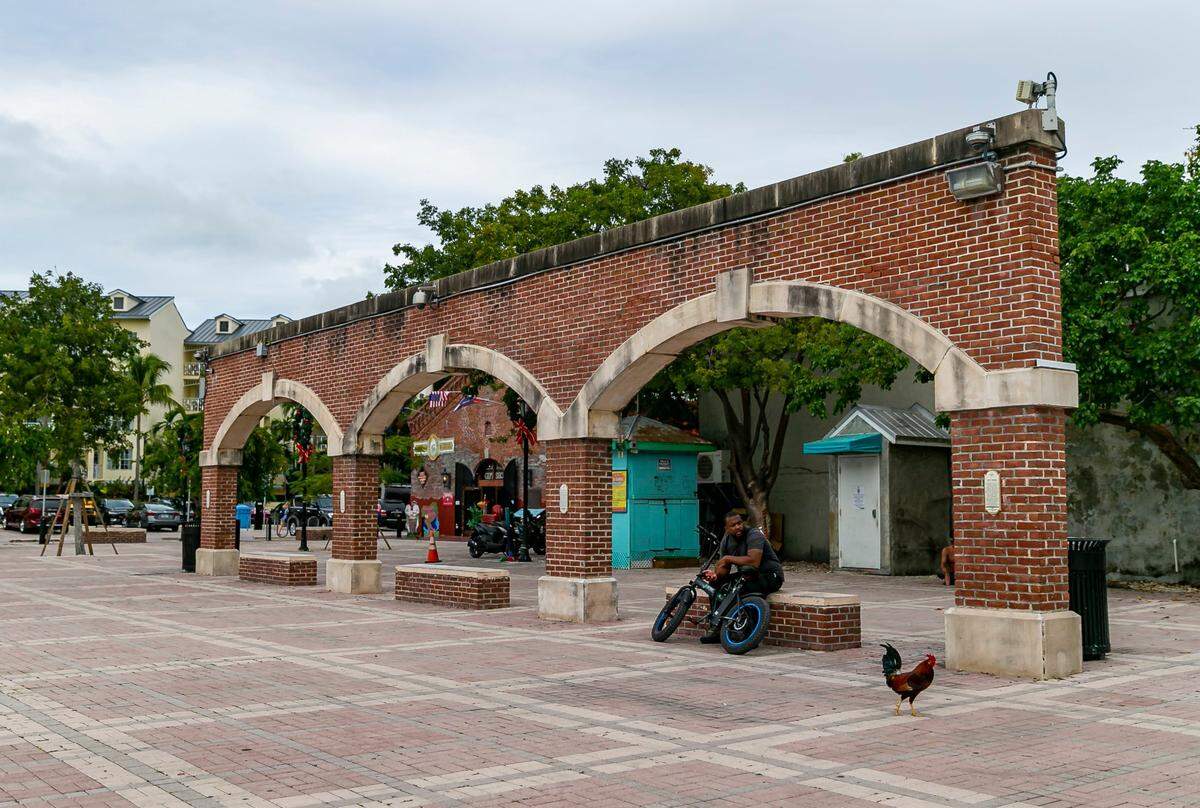 A las horas más calurosas del día, Mallory Square recibe pocos visitantes. Estos gallos paseaban sin inmutarse en diciembre de 2021.