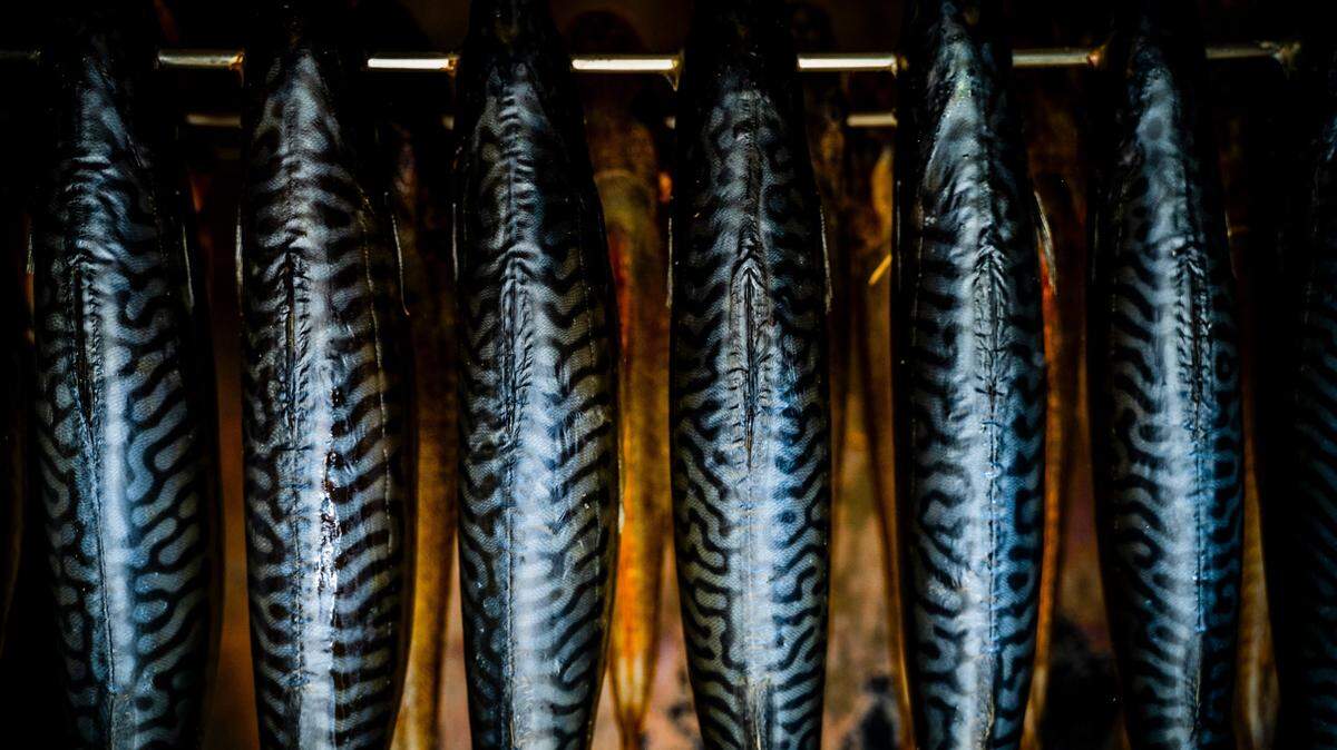 Fish bones recovered from northern Israel show that humans might have been cooking their meals earlier than originally though, a new study says.