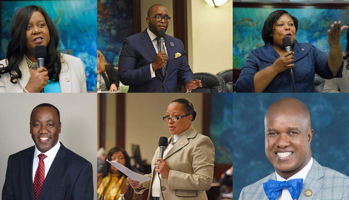 Democrats Shevrin Jones, Erhabor Ighodaro, Barbara Watson, Cynthia Stafford, Daphne Campbell and Wilbur Harbin competed in the Democratic primary to represent Senate District 35, which touches parts of Miami-Dade and Broward counties.