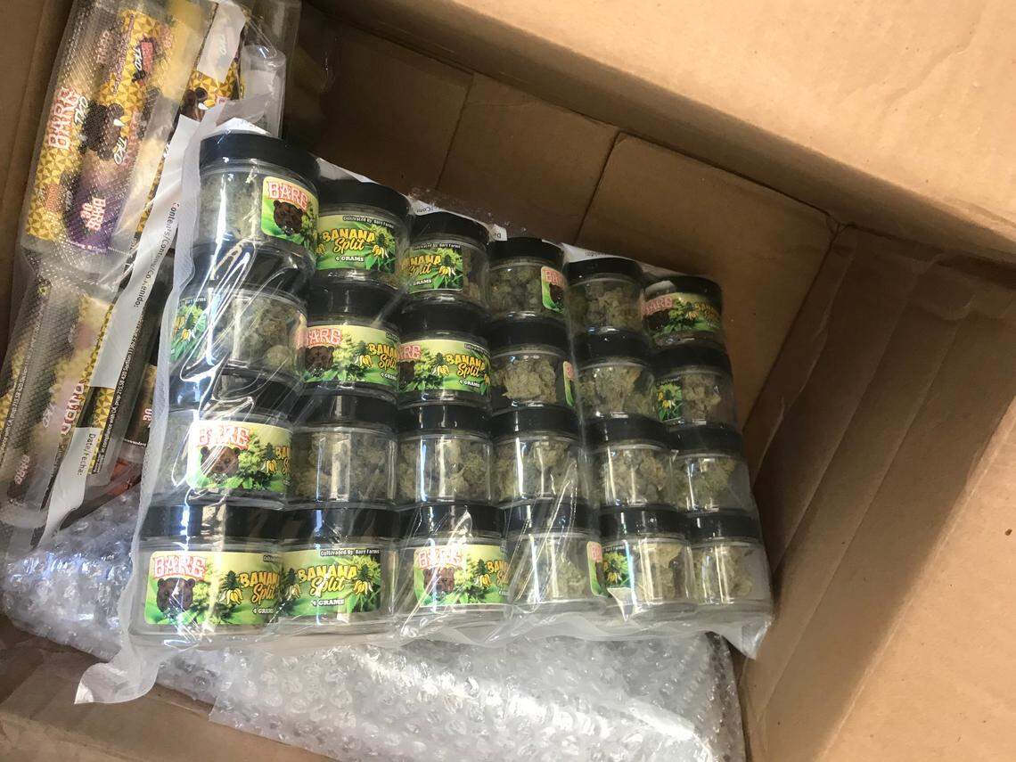 Marijuana from California seized in a package sent to the Downtown Miami apartment of Ryan Wilson.