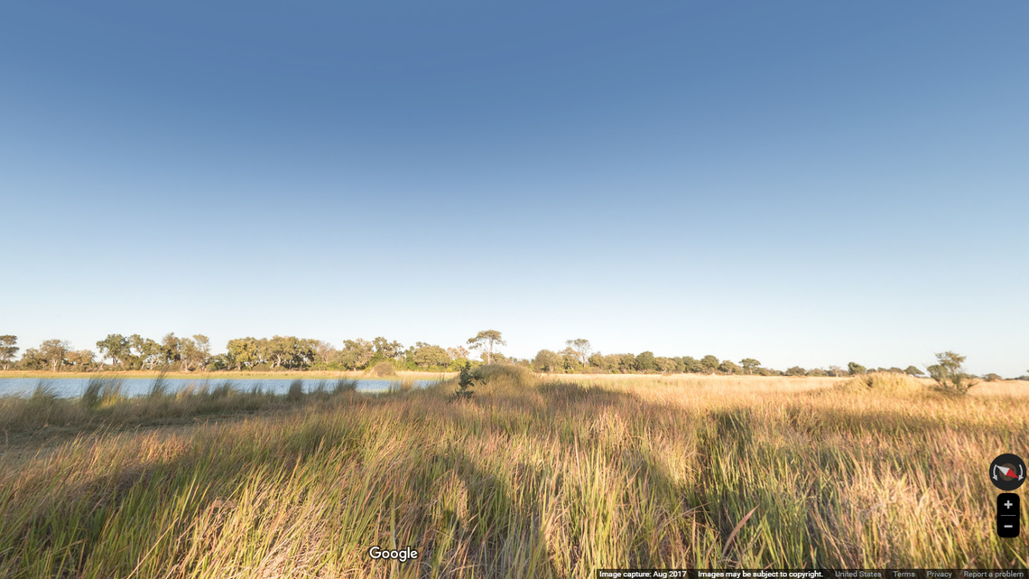 Scientists discovered a new species from a swamp in Botswana.