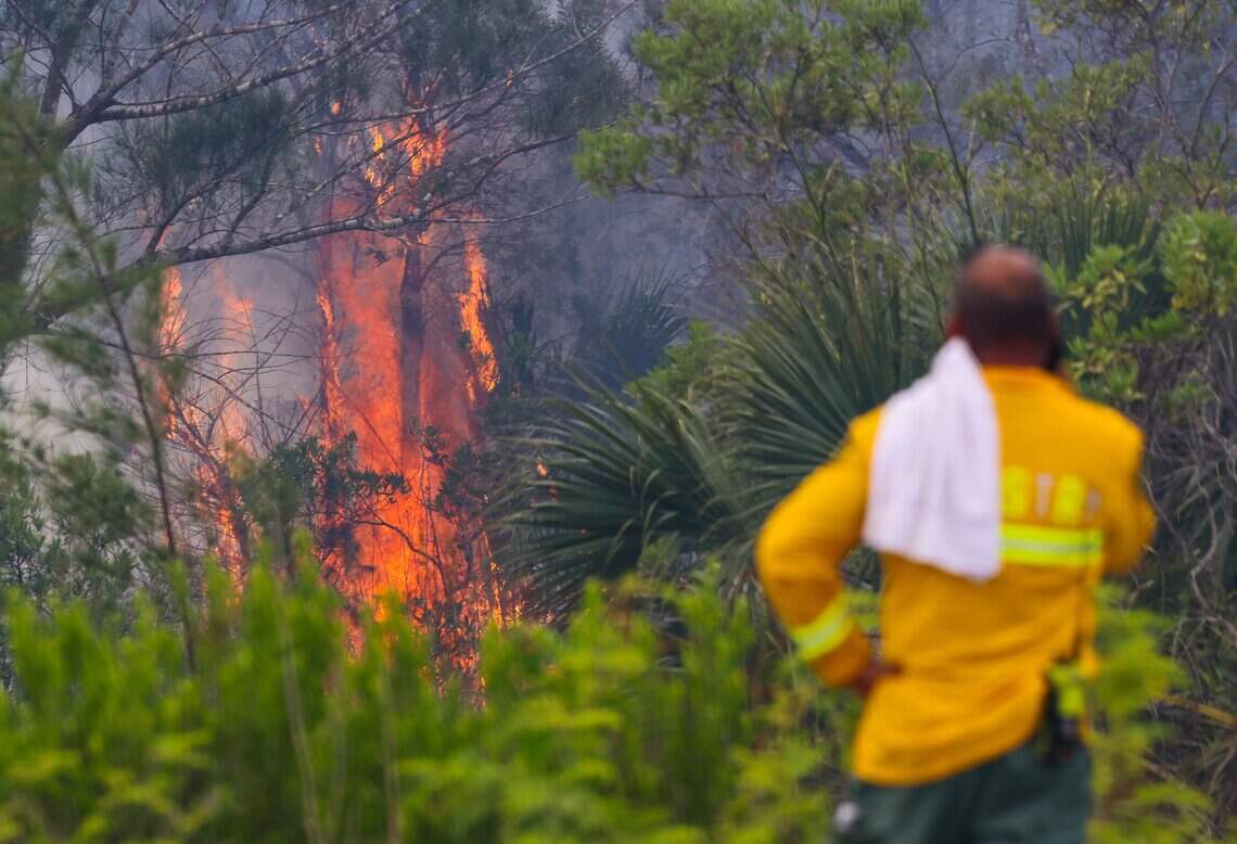 Wildfires continue burning in South Florida | Miami Herald