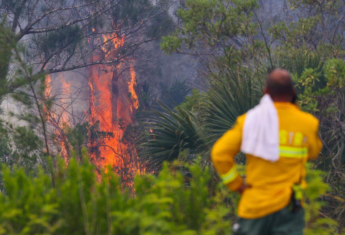 Florida Forest Service personnel monitor a wildfire just west of U.S. 1 and SW 344th Street while battling the blaze with helicopter water drops and ground crews on Monday, May 11, 2026, in Florida City, Fla.