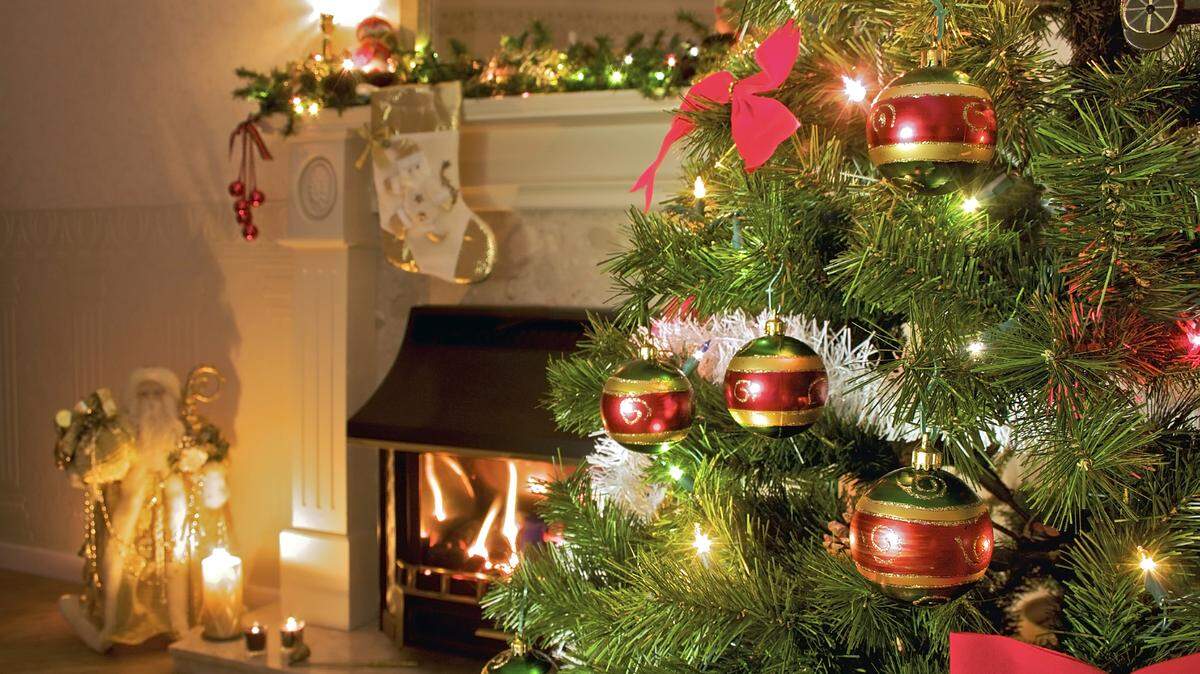 Es la temporada de árboles de Navidad.
