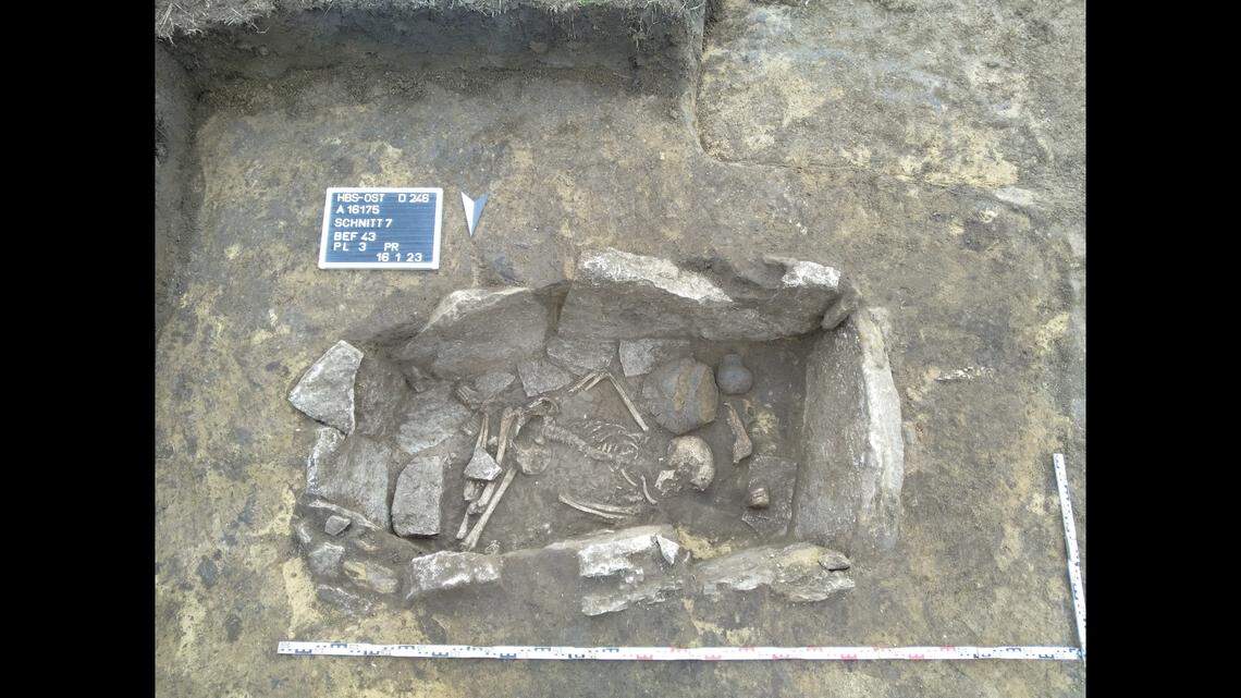 The human remains were found near a grave where at least four cattle were buried.