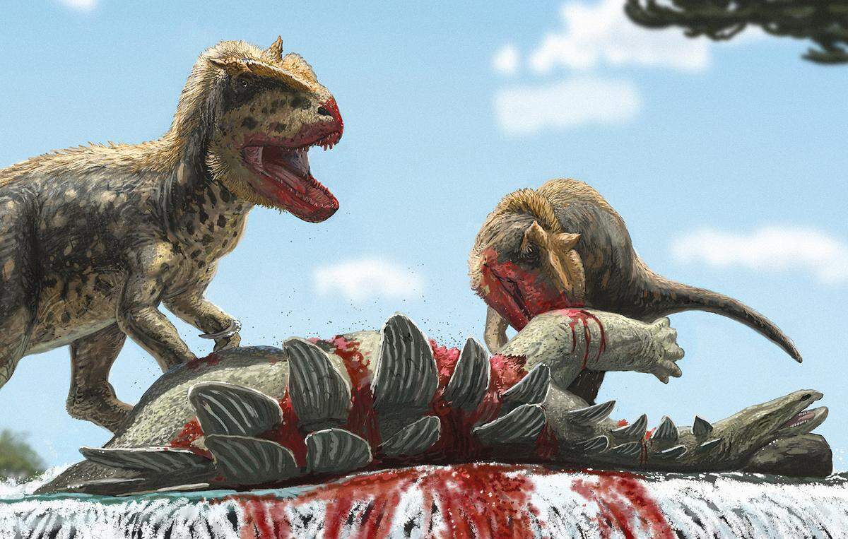 The species had a protruding “eyebrow” structure and two horns, researchers said.