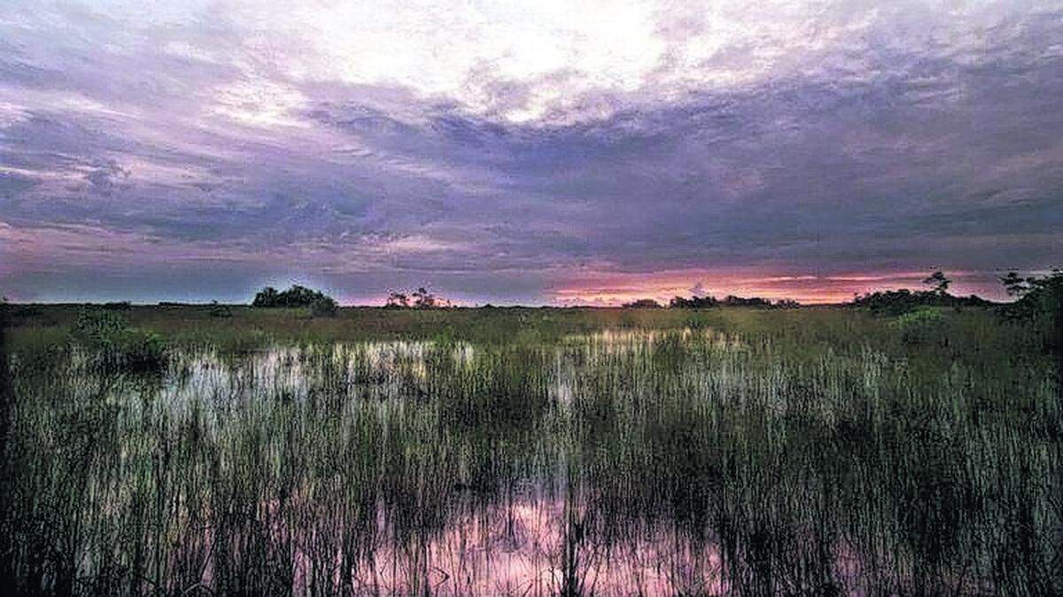 The influential Everglades Foundation had sued its former chief scientist, who had joined another environmental group. A confidential settlement resolved the lawsuit but shed little light on the dispute.
