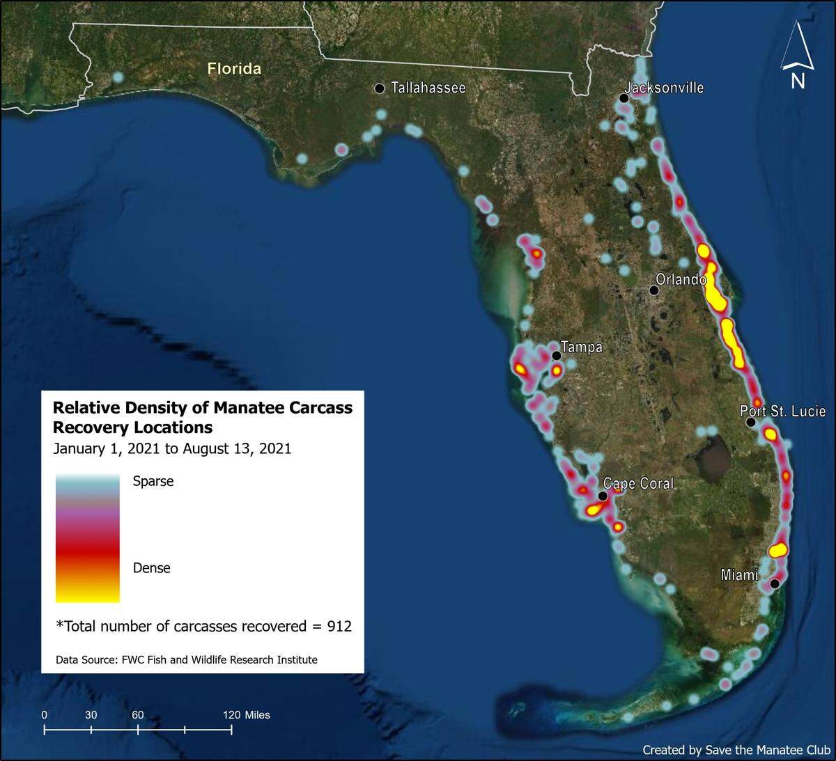 This map depicts the relative density of manatee carcass recovery locations from Jan. 1, 2021, to Aug. 13, 2021. Data provided by Florida Fish and Wildlife Conservation Commission Fish and Wildlife Research Institute. Map created by Tiare Fridrich from the Save the Manatee Club.