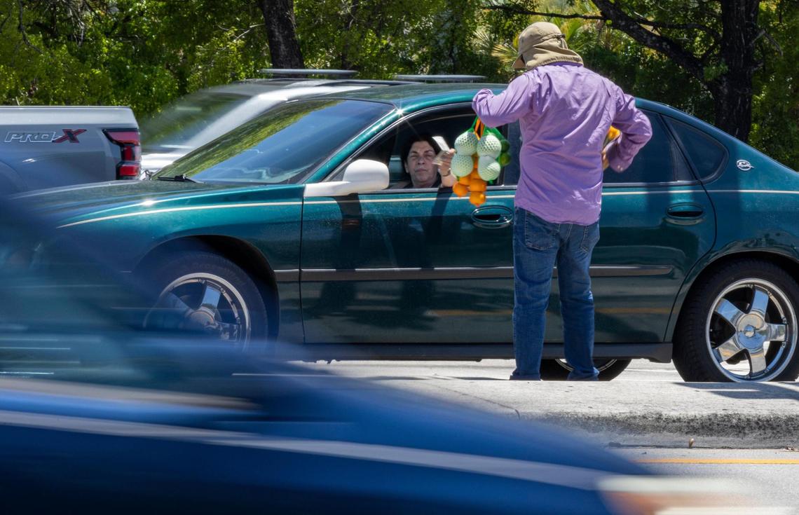 Street vendor Eddy Rivera is seen selling fruits and flowers near the intersection of Red Road and Northwest 135th St on Tuesday, May 2, 2023, in Miami Lakes, Fla.