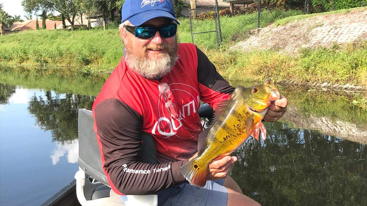 Capt. Alan Zaremba of Hollywood shows off a male peacock bass with a pronounced bump on its head that he caught on a Baby Torpedo topwater plug in a Palm Beach County canal.