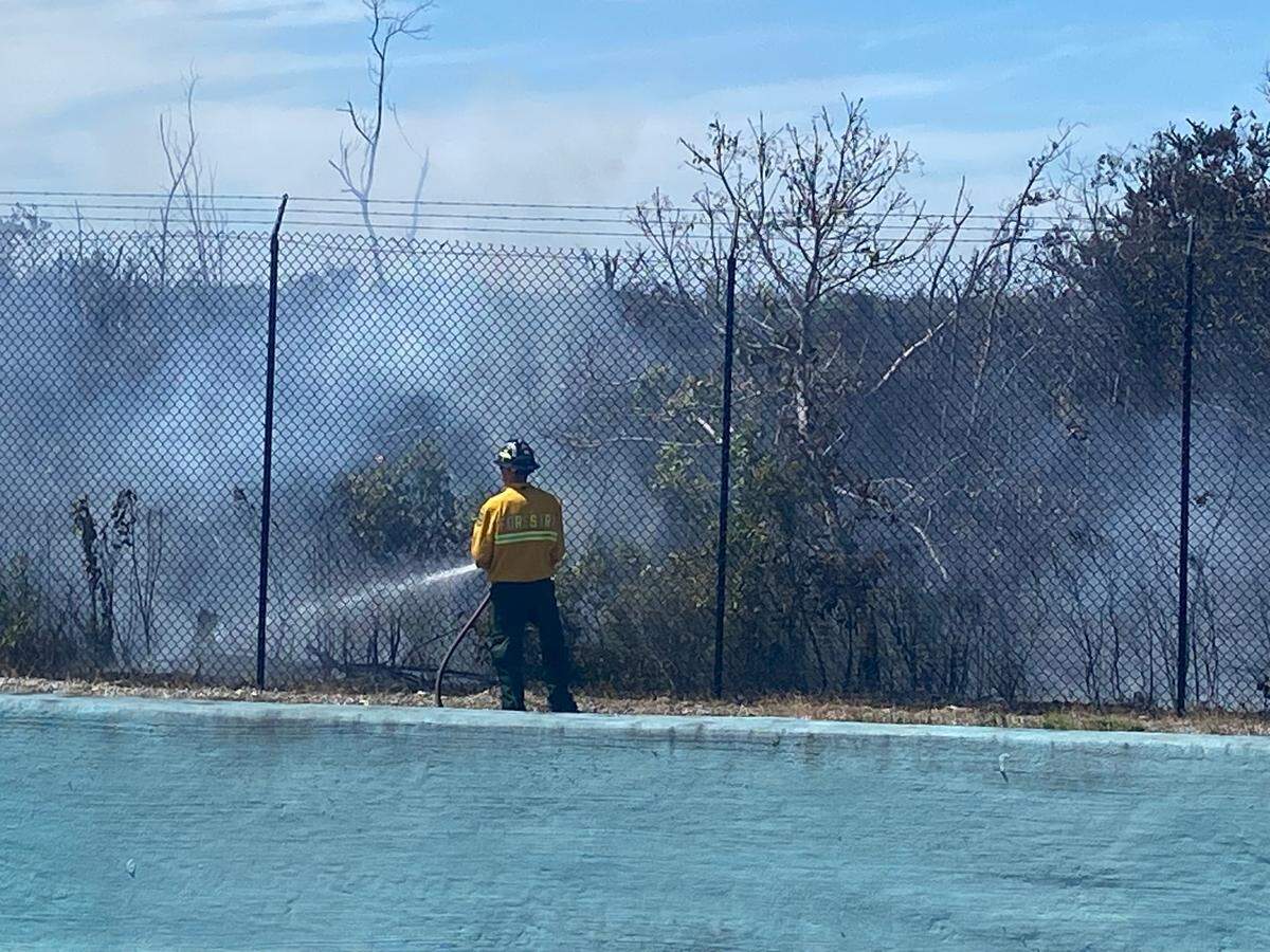 A firefighter with the Florida Forest Service tries to extinguish a blaze around Mile Marker 124 on the southbound side of the 18 Mile Stretch, Friday, March 21, 2025.