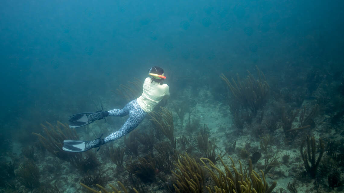 A living reef sits 600 feet off South Beach. Miami needs to protect it | Opinion