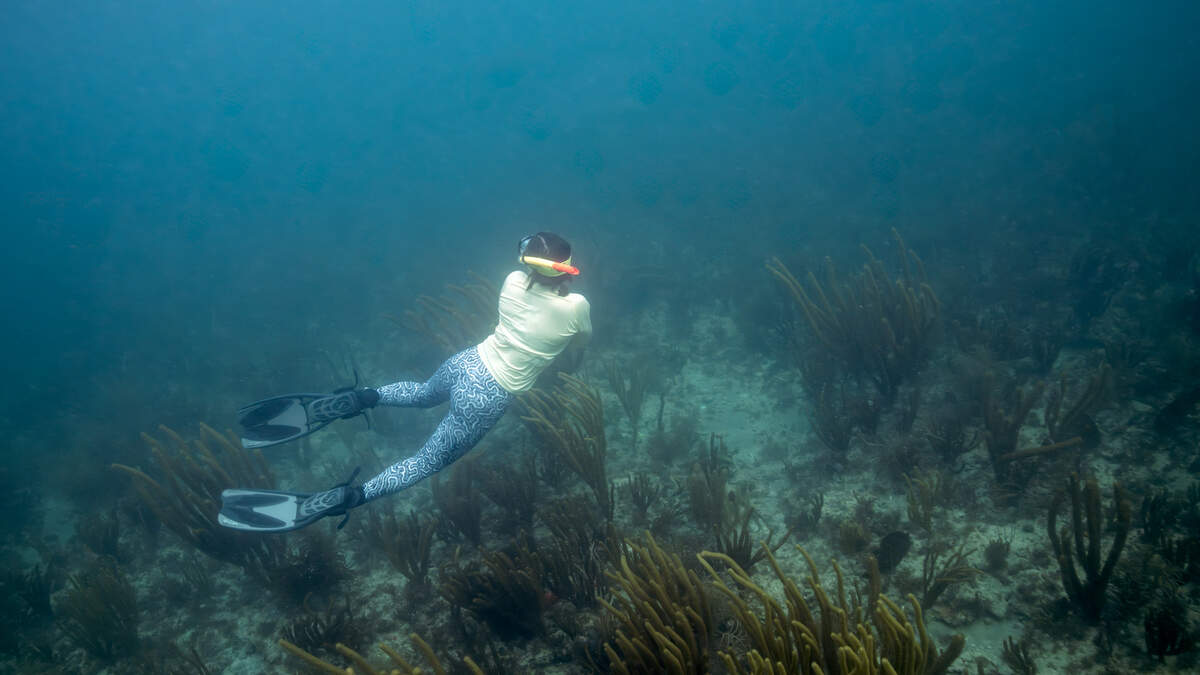 Neon Reef sits 600 feet off South Beach.