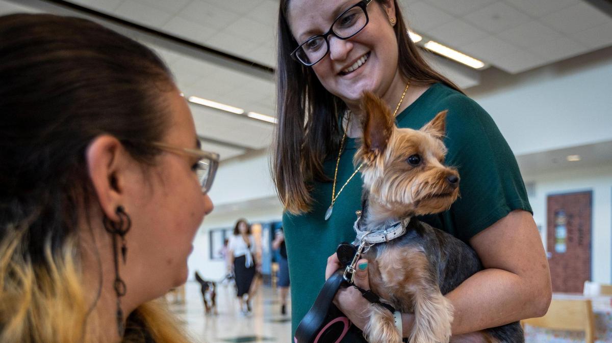 Brenda Ramos, left, a student at Hialeah Gardens High School, greets Zoe, a Yorkie brought to school by Jeannie Shen, a teacher who helped create a program to address mental health issues by exposing students to emotional support animales.