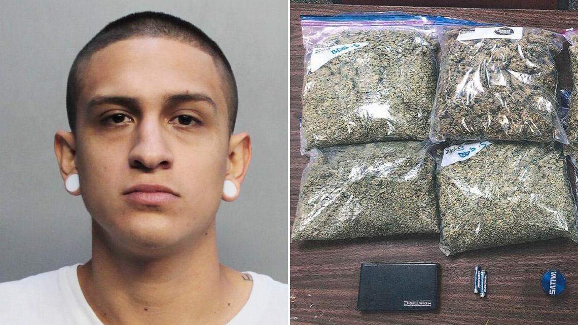 Victor Chavez, left, is challenging his marijuana arrest, saying the smell of the herb is no longer enough for police to search a car without a warrant. At right, the marijuana seized in his truck.