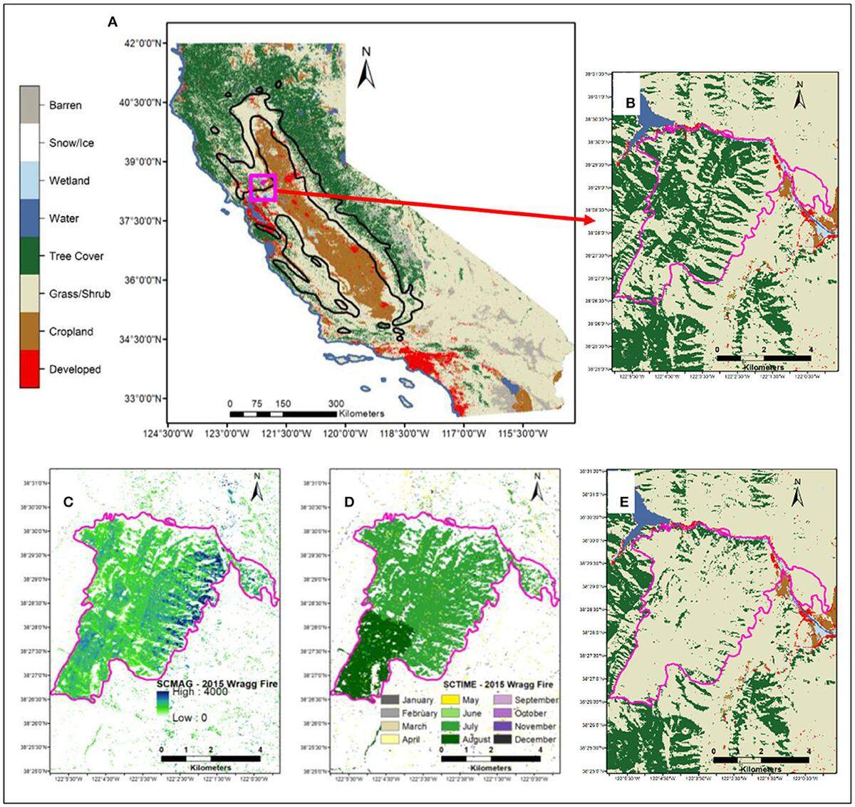 The map shows the transition from (A) that shows land cover in California in 1985 before wildfires and drought consumed the area to (E) that shows land cover in 2016 post fires and drought, indicating tree cover loss.