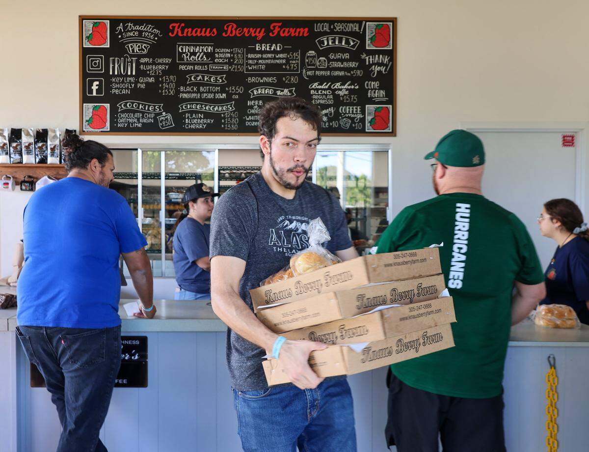 A customer pivots while carrying several boxes of cinnamon rolls as he and others wait for more than two hours to place their order. Knaus Berry Farm opened at its new location, offering shakes, baked goods, and the cinnamon rolls for which it became famous. At the same time, some customers wanted shakes, most lined up for cinnamon rolls, and some even arrived the night before to ensure success on Monday, December 22, 2025, in Redlands, near Homestead, Florida.