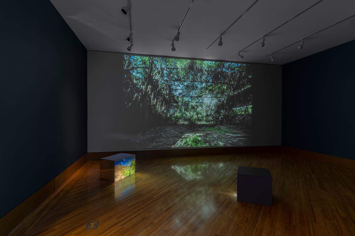 “Territorial Landscapes - Monuments” by Myritza Castillo.