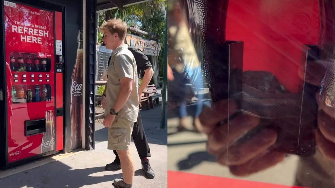 Robert Irwin said he got a call that a carpet python was trapped inside a vending machine at Australia Zoo, according to an Instagram video.