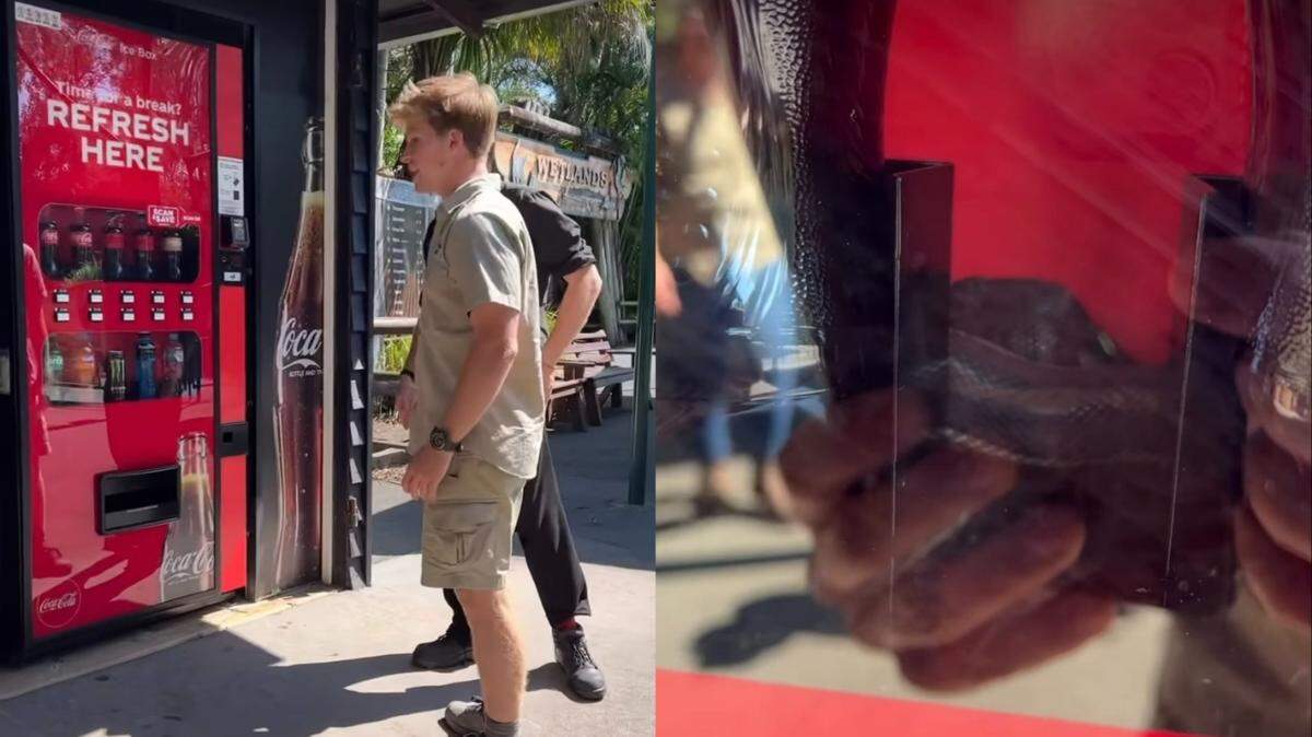 Robert Irwin said he got a call that a carpet python was trapped inside a vending machine at Australia Zoo, according to an Instagram video.