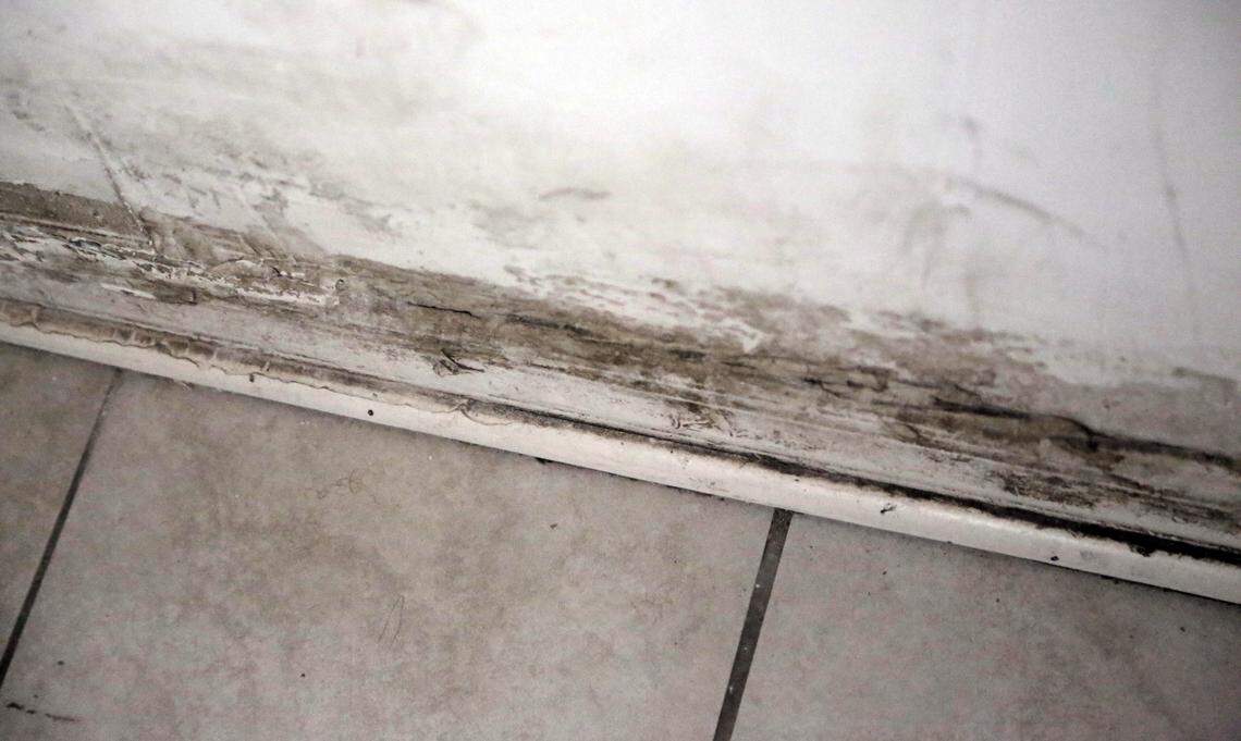 Miami, Florida, November 15, 2018 - Mold can be seen in the bathroom of Tamika Knights’ apartment at Glorieta Gardens Apartments in Opa-locka. Despite constant cleaning with bleach, the mold never fails to grow back.