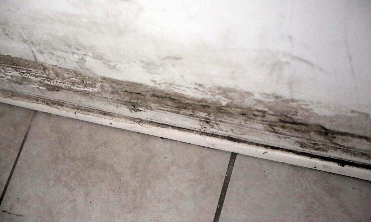 Mold covers the walls of the only bathroom in the apartment Tamika Knights shares with her four children at the Glorieta Gardens complex in Opa-locka. Despite constant cleaning with bleach, the mold never fails to grow back.