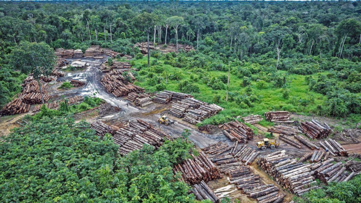 Illegal deforestation on Amazon lands exacerbate the effects of climate change.
