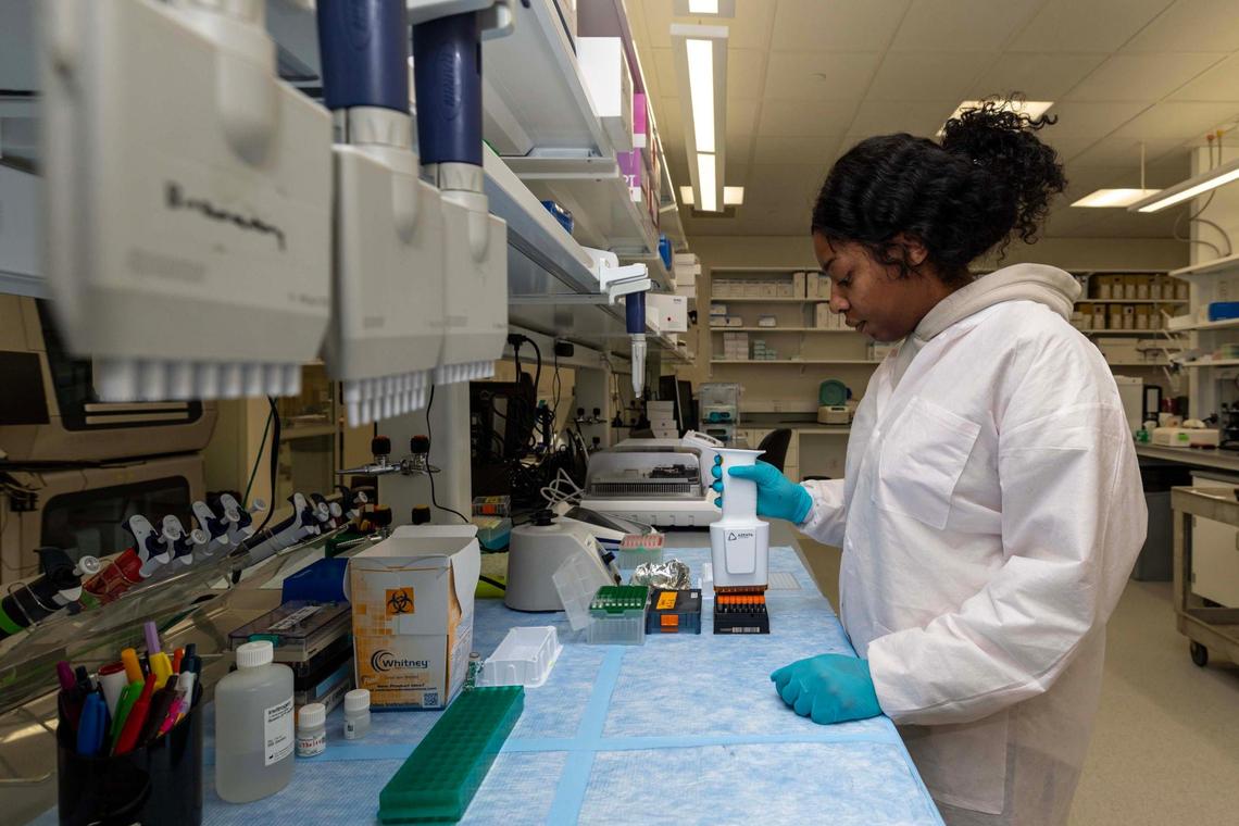 UHealth researcher Dayna Francis, 24, handles genetic samples from participants of an Alzheimer study at the Biorespository on UHealth’s campus near the John P. Hussman Institute for Human Genomics on Thursday, January 16, 2025, in Miami, Fla. The samples were collected by UM researchers who performed tests and enrolled new participants for an Alzheimer study.